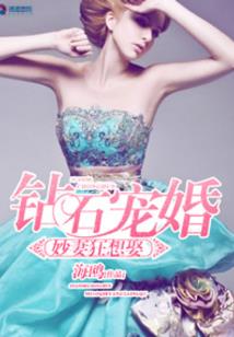 金浪财税团队视频