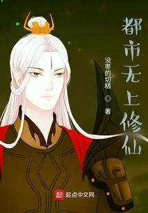 律师和会计师小说推荐