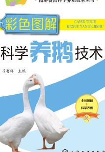 会计阶段报告