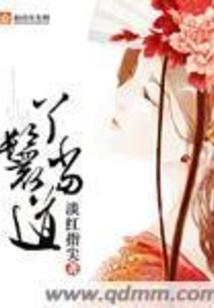成都维诗财税
