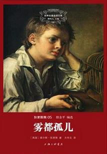 会计职业注册证书