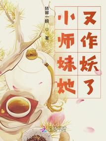 驻德国会计