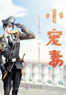 涉外收入的会计分录