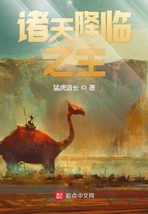 浙江财税行业公司