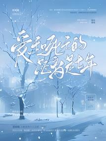 老板与会计师的关系