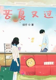 沈阳代帐会计收费标准