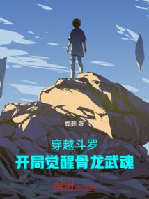 深圳会计师信息查询