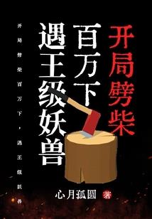cpa备考b站