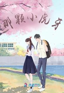 中级会计总共几本教材