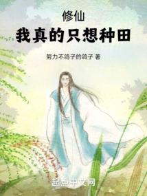 国际注册会计师bt