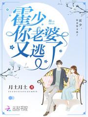估测会计师人数