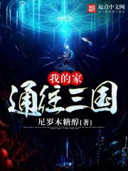 注册会计师担保费用标准