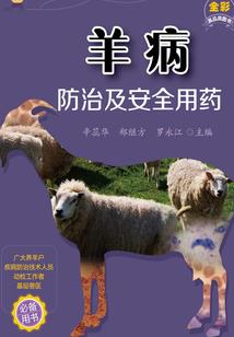 初级会计考试往年题型