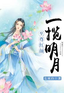 新疆初级会计职称报考