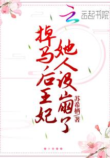 初级会计预估软件哪个好