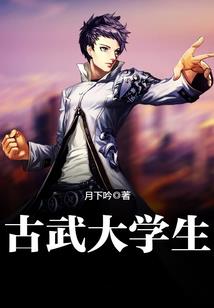 财政局会计师要求