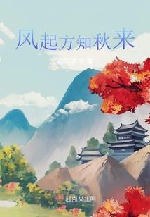 新哥聊财税