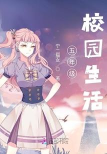 松江区会计企业策划市价