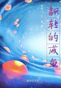 中级会计师电子教程