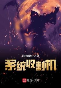 赋润财税