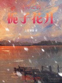 会计专款