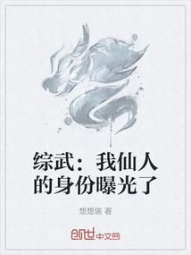 cpa哪个更好