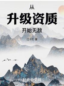 编程等级认证CPA