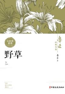 cpa插入表格