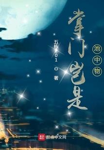 初级会计实务目录与页码
