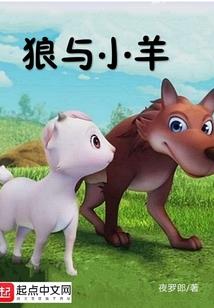 袋叔财税