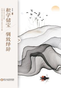 巨星科技会计师