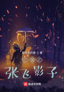 推荐初级会计师证书籍