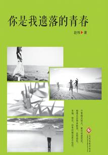 写什么会计分录好