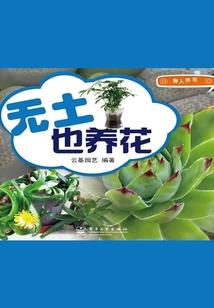 大庆市会计证