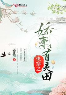 加强会计监督的措施