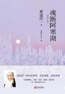 漫谈注册会计师