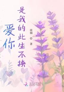 西乡财政网