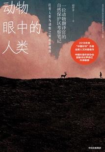 北碚区会计代理哪家快