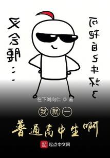 西平财政现状