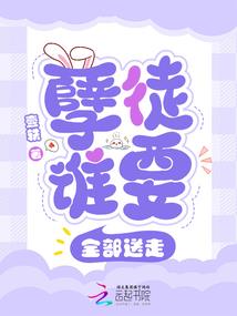 初级会计师看不懂