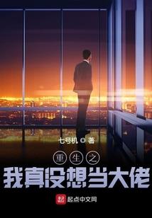 财政极限案例