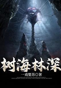 沈阳会计职称考试地址
