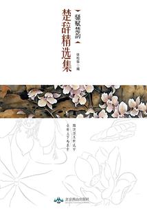 英语会计报告怎么写