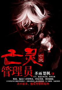 会计师的机会和利用