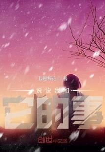 盛茂财税财务