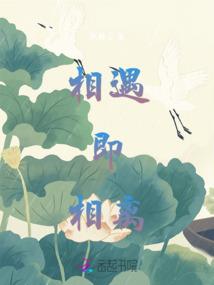 安徽中级会计师有补贴吗