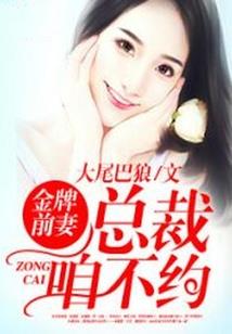 杨依菊会计师