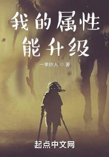 高级会计师综合能力