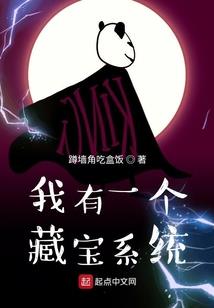 国际会计师注册条件