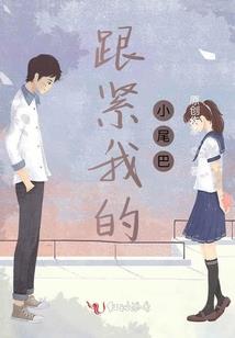 财政领域基本情况